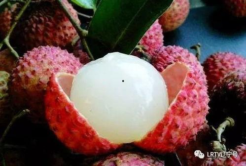 荔枝娱乐圈吃瓜爆料,荔枝吃瓜爆料，明星幕后故事大曝光